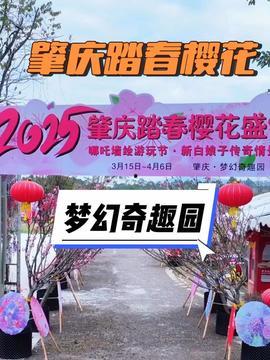 肇庆头条最新爆料,最新爆料事件深度解析